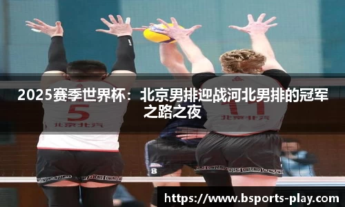 2025赛季世界杯：北京男排迎战河北男排的冠军之路之夜