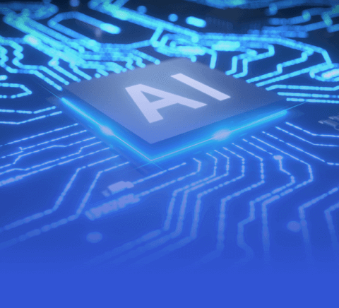 平台结构介绍全面解析： B Sports