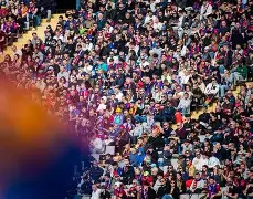 B体育-阿拉维斯主场失利，保级形势严峻的简单介绍