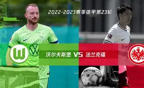 B登录入口-沃尔夫斯堡客场战平对手，力保不败战绩(沃尔夫斯堡比赛)